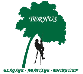 Logo Elagage Montauban