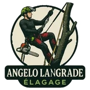 Logo Angelo LANGRADE