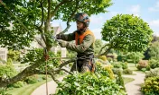 Logo Elagueur Bessens Taille Arbre et Espaces Verts