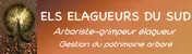 Logo Elagueur du Sud