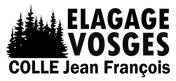 Logo Elagage Vosges