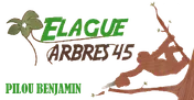Logo Élague Arbres 45