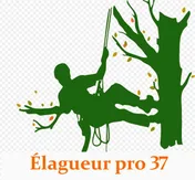 Logo Élagueur Pro 37
