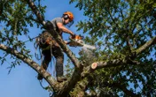 Logo L'Arbre & la Forge