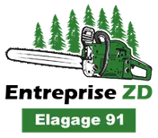 Logo Entreprise ZD