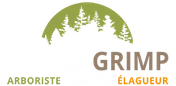 Logo Forest Grimp