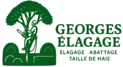 Logo Georges Elagage