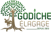 Logo Godiche Elagage