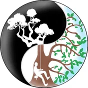 Logo Graine d'Arbre