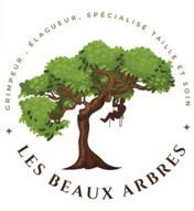 Logo Les Beaux Arbres
