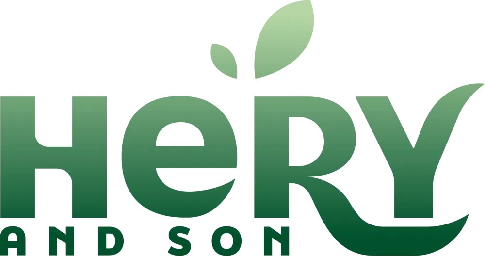 Logo Hery and son