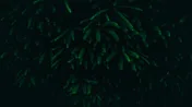 Logo Jardinier Paysagiste