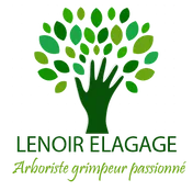 Logo Lenoir Élagage