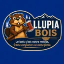 Logo Llupia Bois