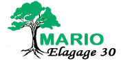 Logo Mario Elagage