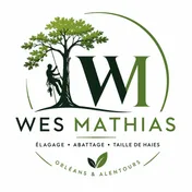 Logo Mathias Elagueur