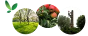 Logo M. Leder