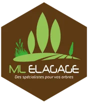 Logo ML Elagage