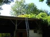 Logo Montarbres