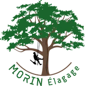 Logo Morin Elagage et Paysage
