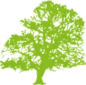 Logo Mousseigt Élagage & Jardins