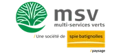 Logo MSV