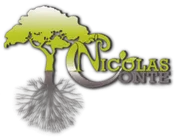 Logo Nicolas Conte