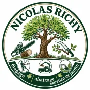 Logo Nicolas Richy