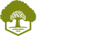 Logo Noël Espaces Verts