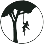 Logo Ô'Fil de l'Arbre