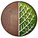 Logo Omnifolia