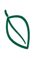 Logo Florisage