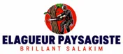 Logo Brillant Salakim