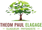 Logo Theom Paul Elagage