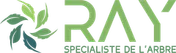 Logo Ray Spécialiste de l'Arbre