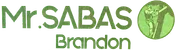 Logo Brandon Sabas