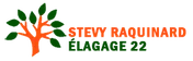 Logo Artisan Stevy Raquinard