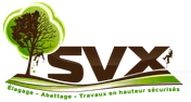 Logo SVX