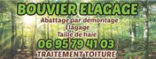 Logo Bouvier Elagage Père & Fils