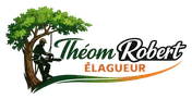 Logo Theom Robert Elagueur