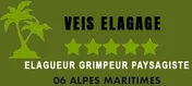 Logo Veis