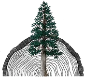 Logo Vergne Poirot