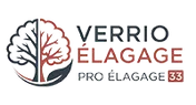 Logo Verrio Elagage