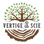 Logo Vertige et Scie