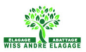 Logo Wiss André Elagage 76