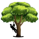 Logo W.Sylvain